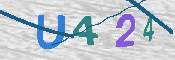 CAPTCHA-Bild