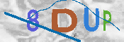 CAPTCHA-Bild
