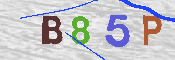CAPTCHA-Bild